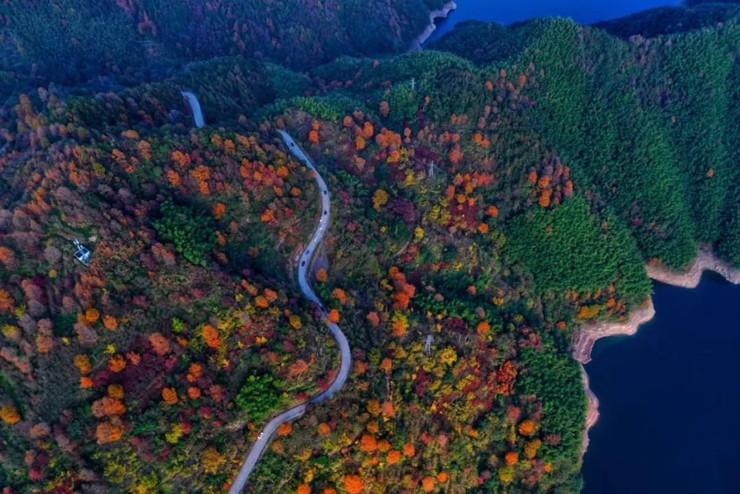 《数据化决策》读后感-让“估时更准确”